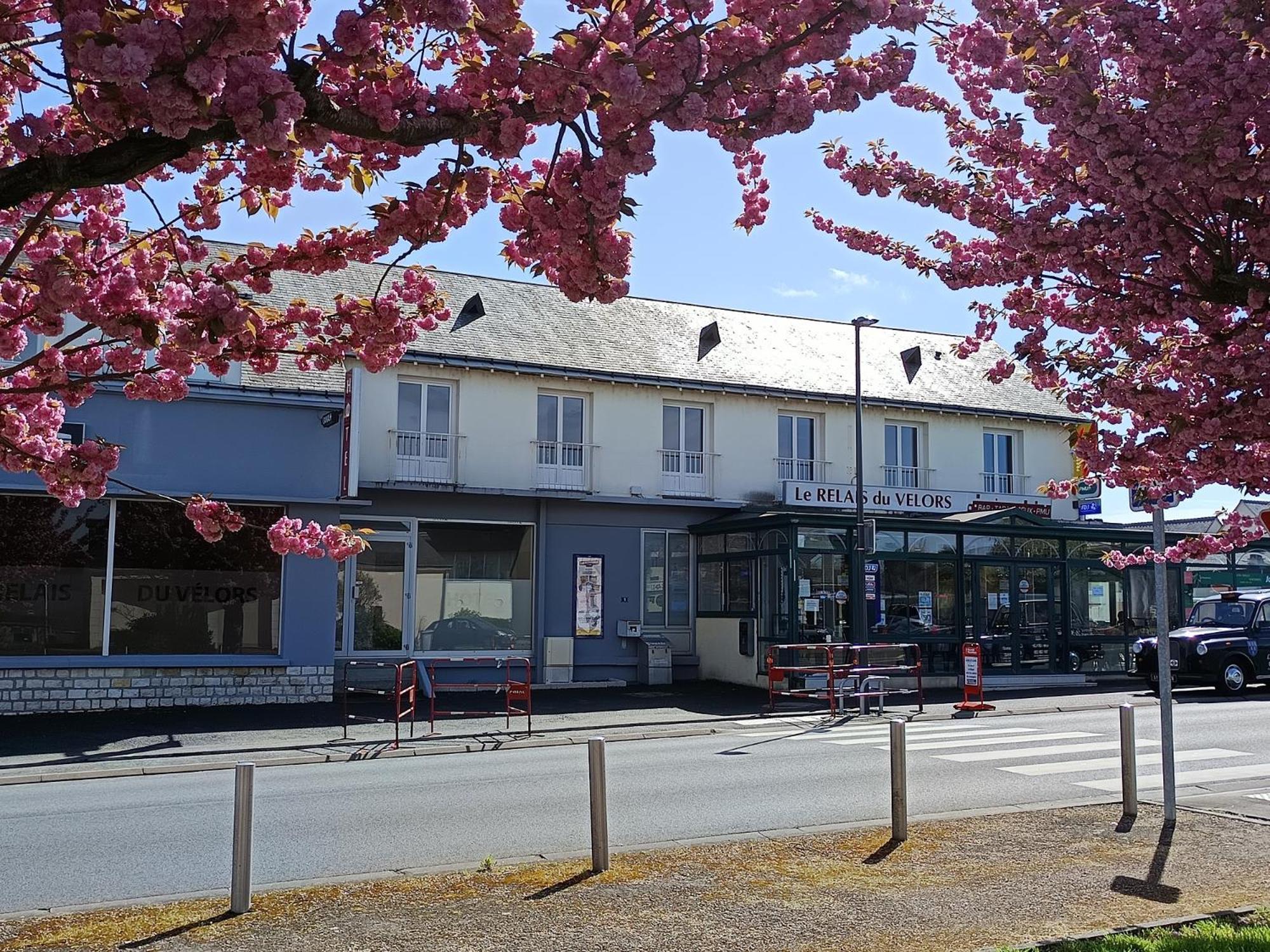Le Relais Du Velors Hotel Beaumont-en-Véron Екстериор снимка